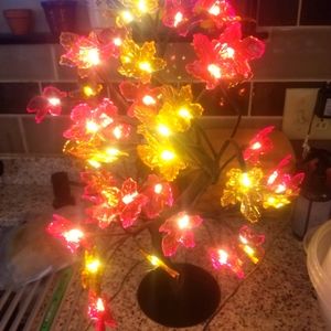 Pier 1 led  Maple leaf tree